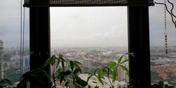 Bayshore Park (D16), Condominium #539795461